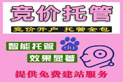 推广竞价策略解析：成功案例分享